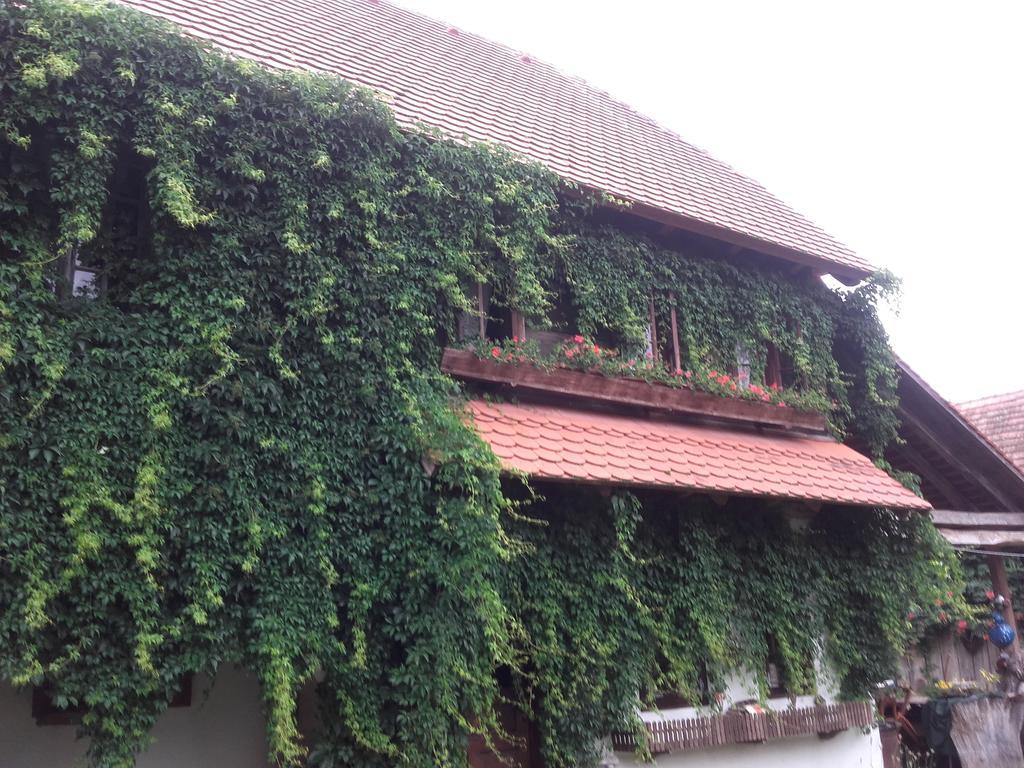 Rural Tourism Family Ravlic Hostal Muzilovcica Exterior foto